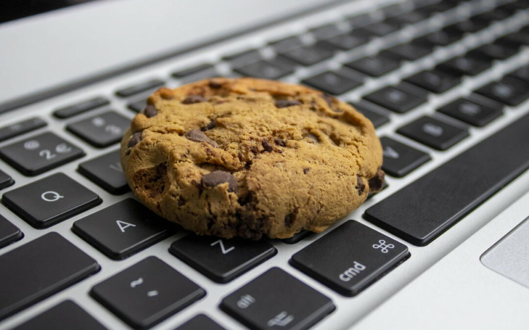 Les fondamentaux des cookies sur Internet : comprendre, contrôler et respecter la confidentialité
