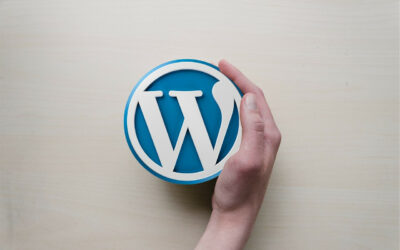 Les 10 meilleures pratiques pour créer un site Web professionnel avec WordPress